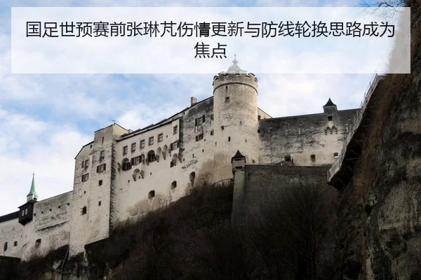 国足世预赛前张琳芃伤情更新与防线轮换思路成为焦点